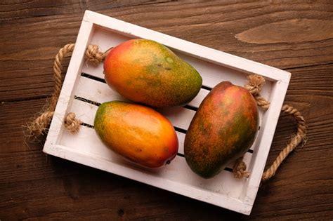 Varian Unggul Mangga Indramayu Kulitnya Berwarna Pelangi Mangga