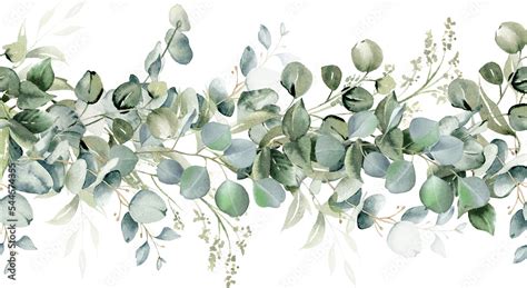 Eucalyptus Leaves Seamless Border Watercolor Floral Illustration