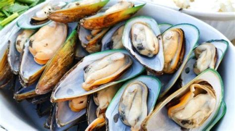 5 Manfaat Kerang Untuk Kesehatan Bagus Untuk Kesehatan Jantung Hingga