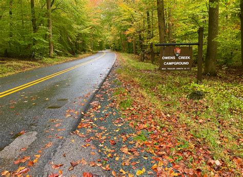 Capturing Fall Foliage Pictures in Maryland’s Catoctin Mountain Park ...