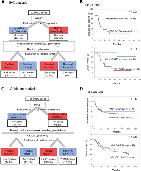 Cancer Antigen Expression Enhances The Gemcitabine Cisplatin