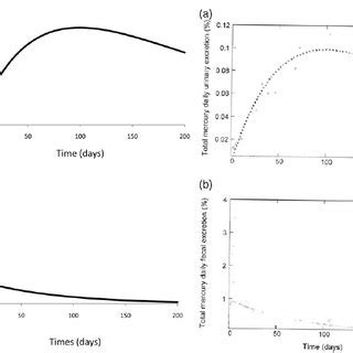 Daily Urinary A And Faecal B Excretion Of Total Mercury In