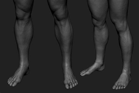 Leg Zbrush Sculpt D Model Cgtrader