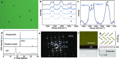 Structural Characterization Of The Perylene GO Heterobilayer A