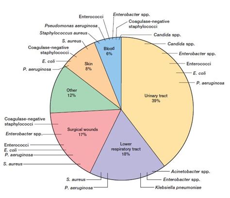 Nosocomial Infection: Introduction, Source, Control and Prevention