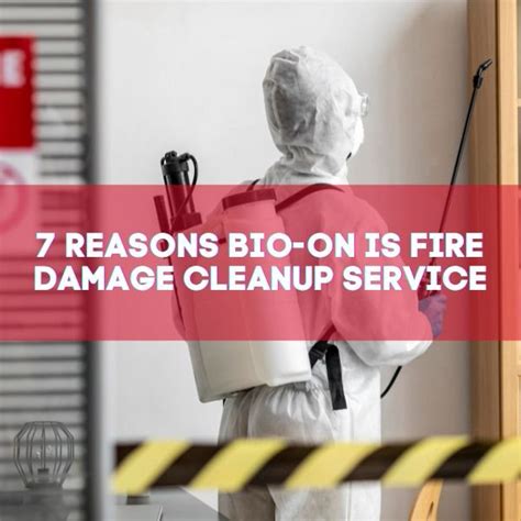 Reasons Bio On Is Fire Damage Cleanup Services