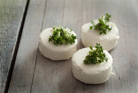 5 Bonnes Raisons De Manger Du Fromage De Chèvre