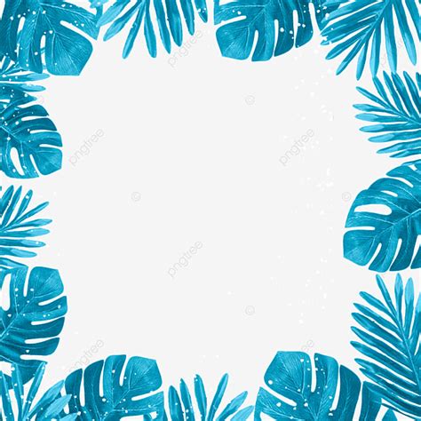 Borde De Hoja De Palmera Azul Monstera Png Frontera De La Planta