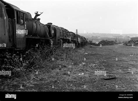 Scrapped Ex British Railways Steam Locomotives At Woodhams Scrapyard