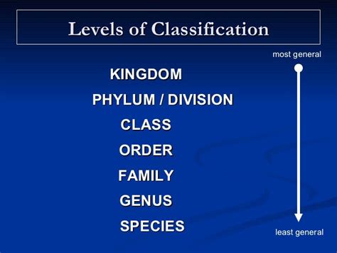 Classification Facts