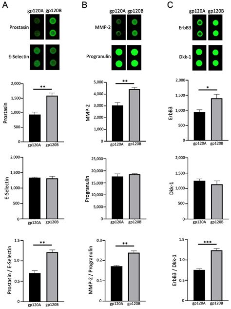 Ijms Free Full Text Gp Envelope Glycoproteins Of Hiv Group M