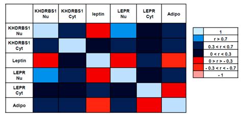 Pairwise Pearson Correlation Matrix For Ihc Expression Of Khdrbs1