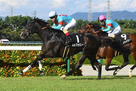 【中山金杯】レース展望｜競馬ニュース｜競馬予想のウマニティ