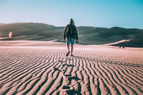 Free Images Landscape Nature Sand Sky Wood Arid Desert Dune