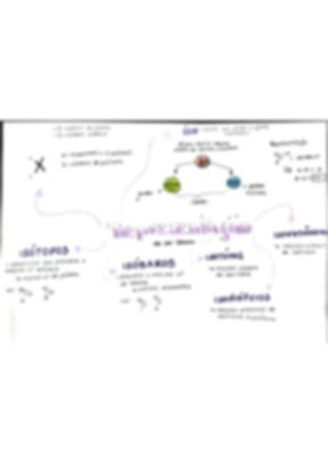 Solution Mapa Conceitual De Química Básica Representação De Um àtomo