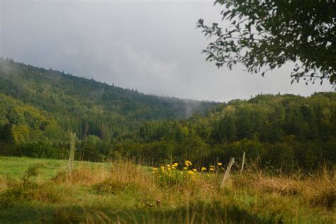 Vercors Nature Et Histoire De La Combe De Loscence Au Belv Flickr