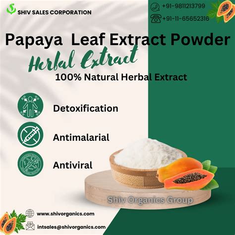 Papaya Leaf Extract Powder Packaging Type Packet Packaging Size 1Kg