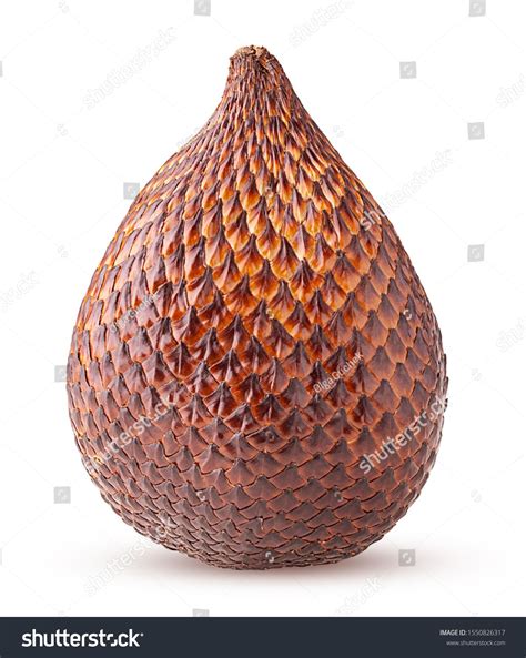 salak snake fruit exotic tropical delicacy