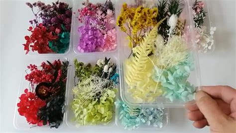 节日手工diy干花材料包 永生花礼盒 香薰浮游花花材 相框押花 阿里巴巴