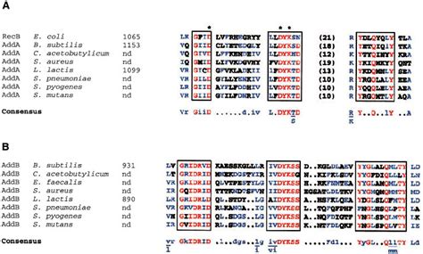 The Addab Enzyme Carries Two Homologous Nuclease Domainsa Alignment