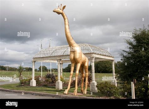 British iron works oswestry hi-res stock photography and images - Alamy