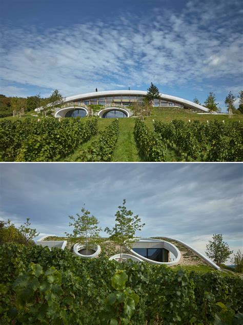 A Curved Green Roof Allows This Winery To Blend Into The Landscape - ᐅ