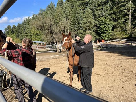 Snohomish Animal Control Training Days Save A Forgotten Equine Safe