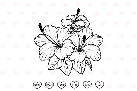 Hibiscus Svg Hibiscus Flower Svg Graphic By Tadashop Design · Creative