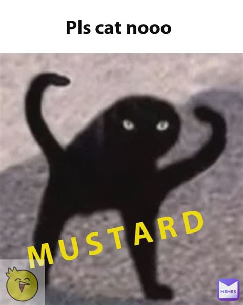 Noooo Cat Meme