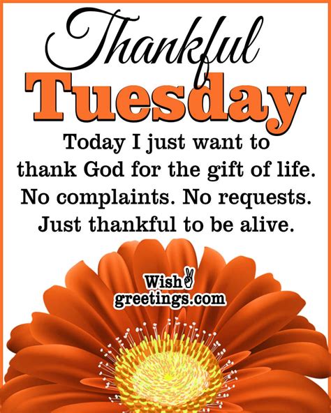 Best Tuesday Morning Wishes Quotes Wish Greetings