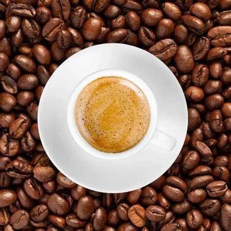 What Is Blonde Espresso A Light Roast Coffee Guide The Coffee Guru