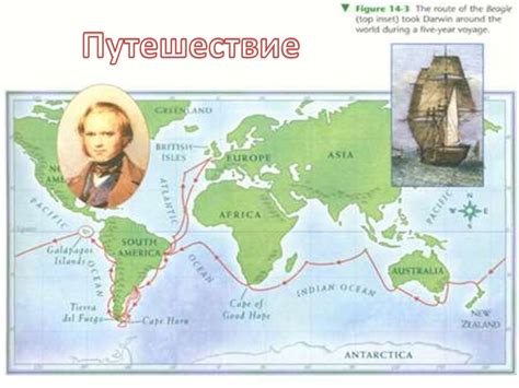 Кругосветное путешествие Ч. Дарвина - презентация онлайн