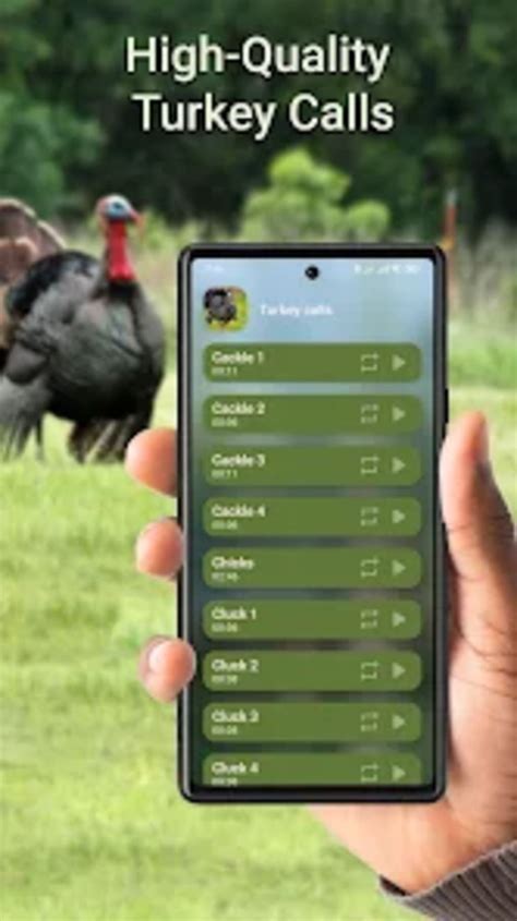 Turkey hunting calls for Android - Download