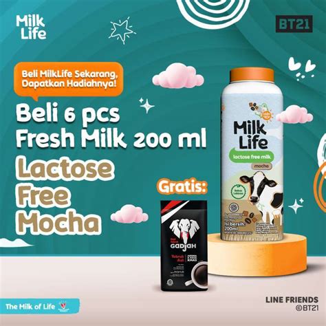 Jual Bekasi Milklife Fresh Milk Lactose Free Mocha 200 Ml6 Pcs