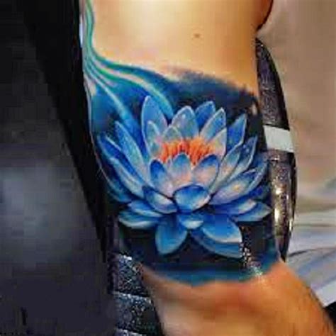 Egyptian Blue Lotus Flower Meaning | Best Flower Site