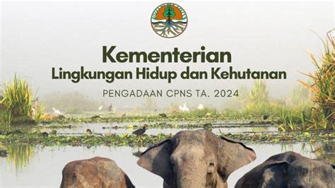 Pengumuman Seleksi Administrasi Cpns Klhk 2024 Diundur Cek Jadwal