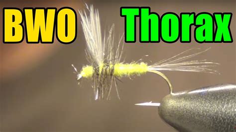 Bwo Thorax Fly Tying Instruction And How To Tie Tutorial Youtube