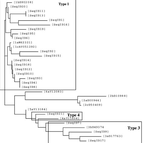 Phylogenetic Relationship Of 21 Indian Isolates Of HCV Based On 5 UTR