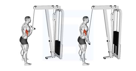 Cable Pushdown - Guide, Benefits, and Form