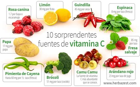 ¿sabes Realmente Que Tan Importante Es La Vitamina C