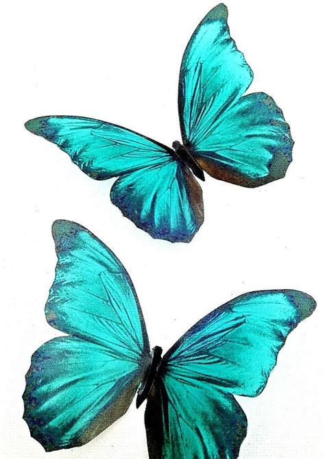 Stunning In Flight Teal Blue Butterflies D Butterfly Wall Etsy