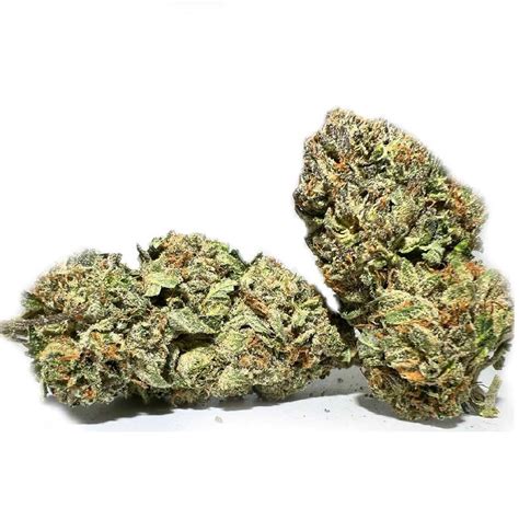 Runtz — Fantastic Weeds