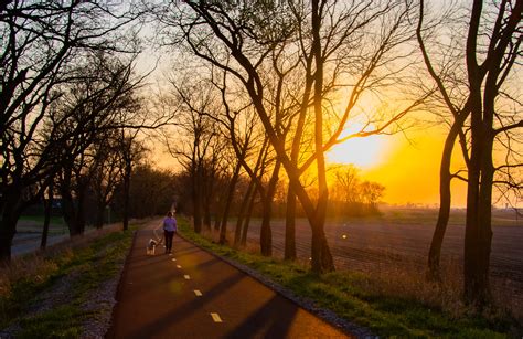 Visitation hours and rules for the pickaway county jail facility 6