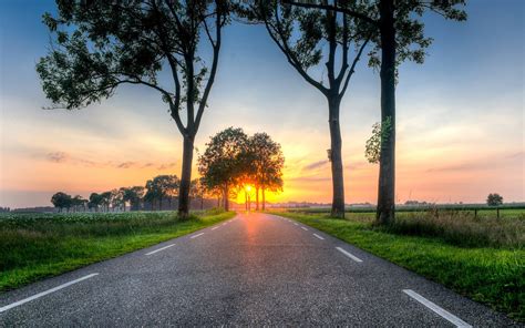 Wallpaper Road Trees Sunset Fields Countryside 1920x1200 Picture Image