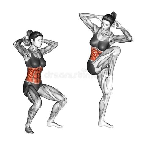 Fitness Exercising Quarter Squat Crunch Female Stock Illustration Illustration Of Target