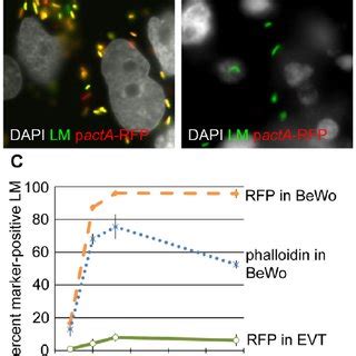 Evt Restrict Intracellular Growth Of L Monocytogenes Intracellular