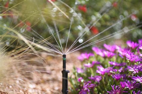 Micro Irrigatore A Hozelock International