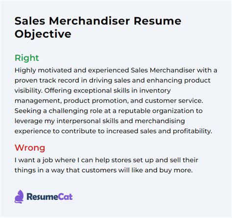 Top Sales Merchandiser Resume Objective Examples