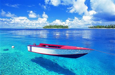 🔥 Download Wallpaper Tahiti Dawallpaperz By Henrysherman Tahiti