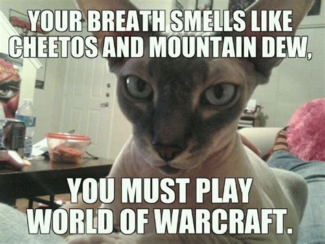 Sphynx, judgmental cat meme